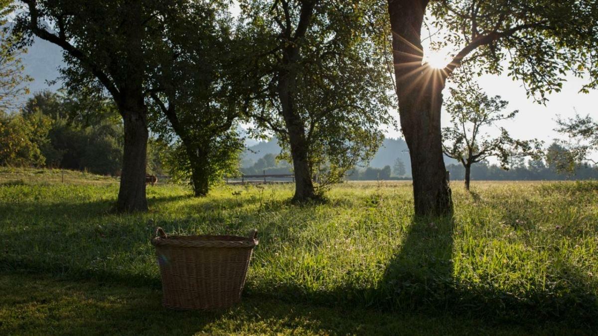 Bauernhof Lindenhof Bed and Breakfast Scheffau am Wilden Kaiser Εξωτερικό φωτογραφία